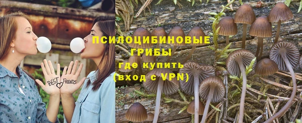 альфа пвп Гусев
