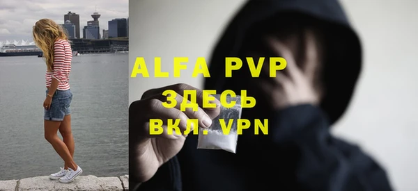 альфа пвп Гусев