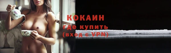 альфа пвп Гусев
