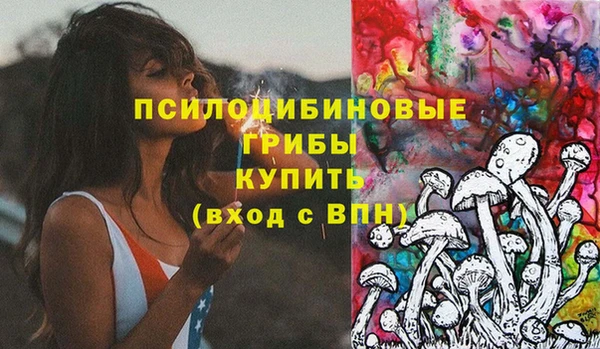 первитин Гусь-Хрустальный