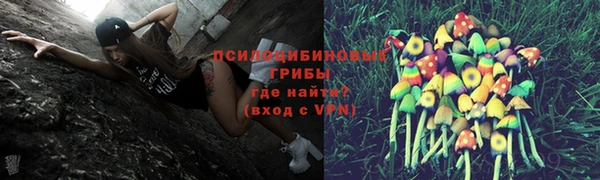 альфа пвп Гусев